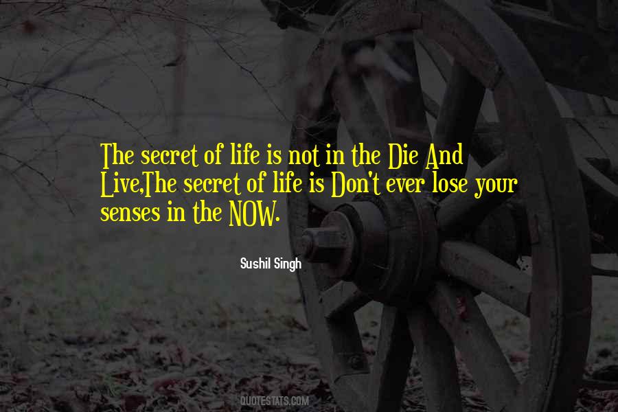 Quotes About The Secret Of Life #1343819