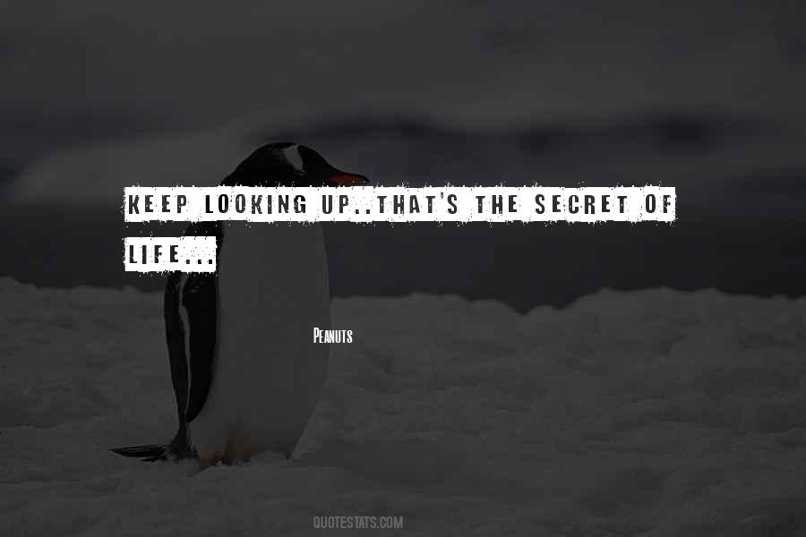 Quotes About The Secret Of Life #1840970