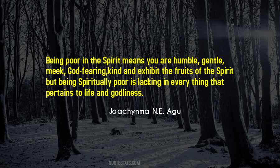 Quotes About The Poor In Spirit #808911