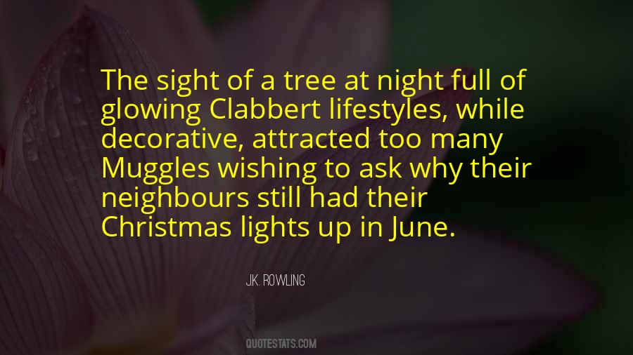 Quotes About Lights Of Christmas #851818