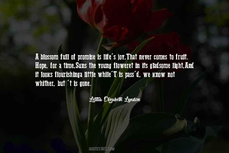 Light Of Joy Quotes #278507