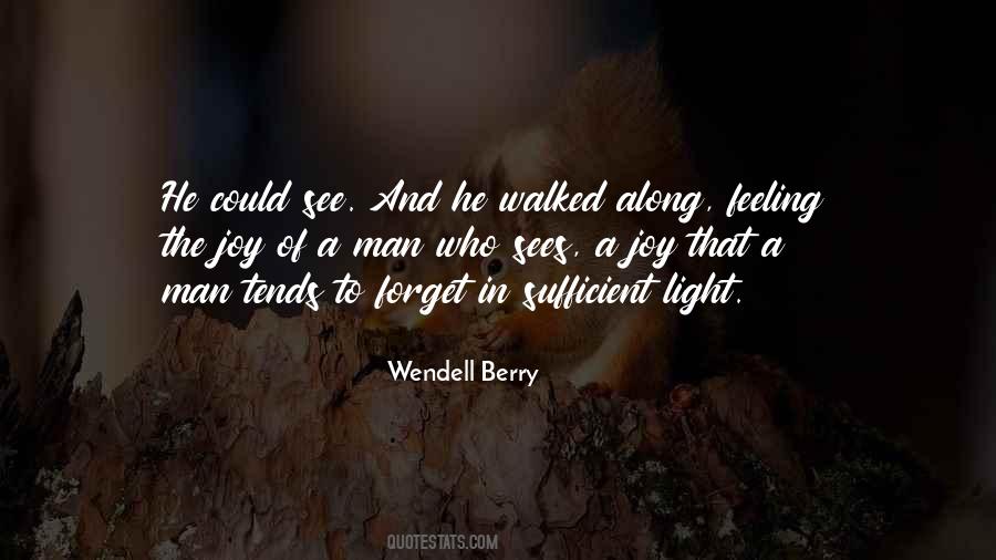 Light Of Joy Quotes #824651