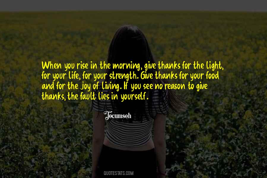 Light Of Joy Quotes #919322