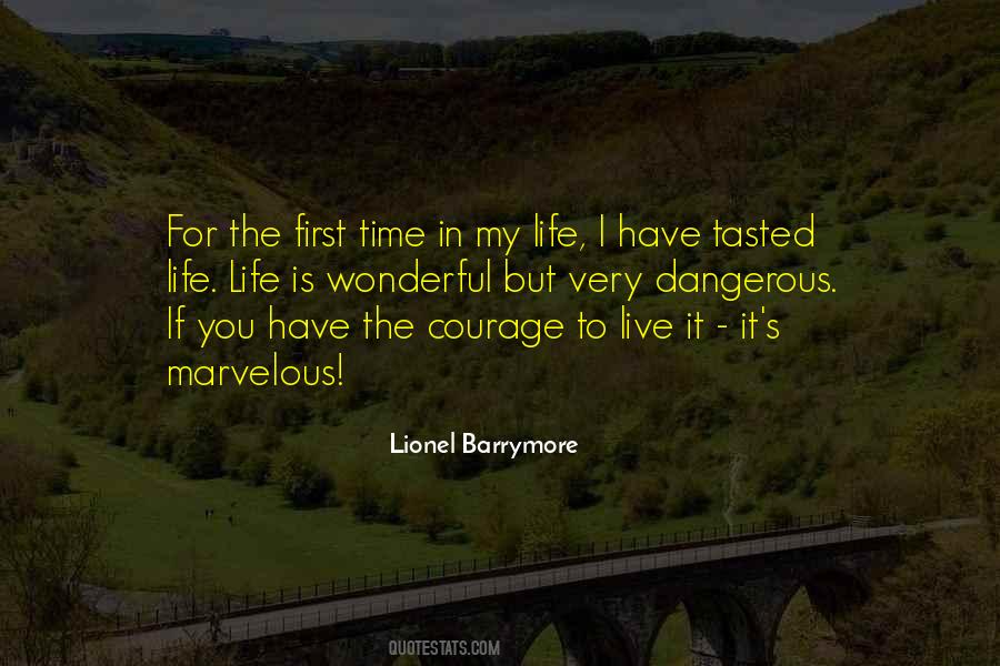 Quotes About Courage In Life #285105