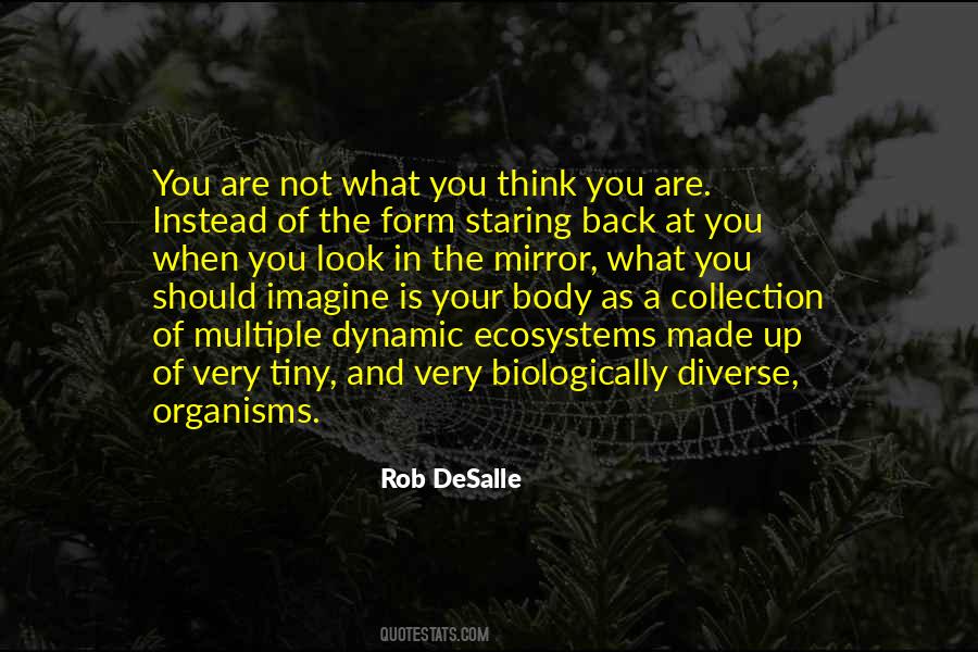 You Are Not What You Think Quotes #1125252