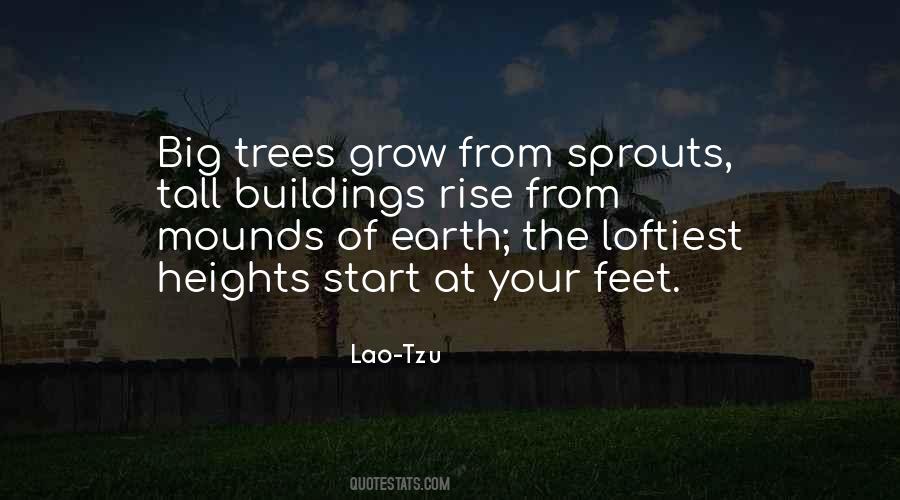 Quotes About Buildings And Trees #68871