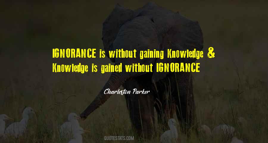 Quotes About Knowledge Gained #1193521