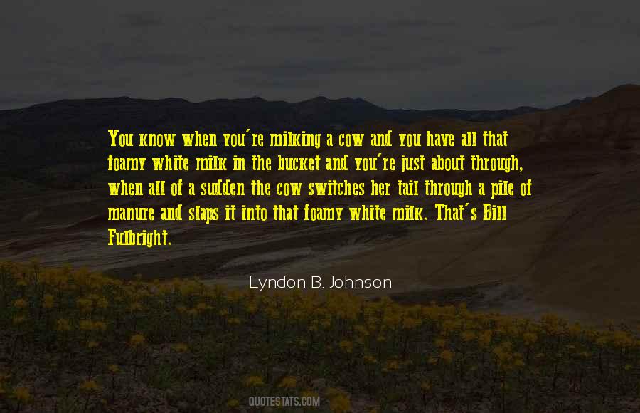 Mrs Fulbright Quotes #187294