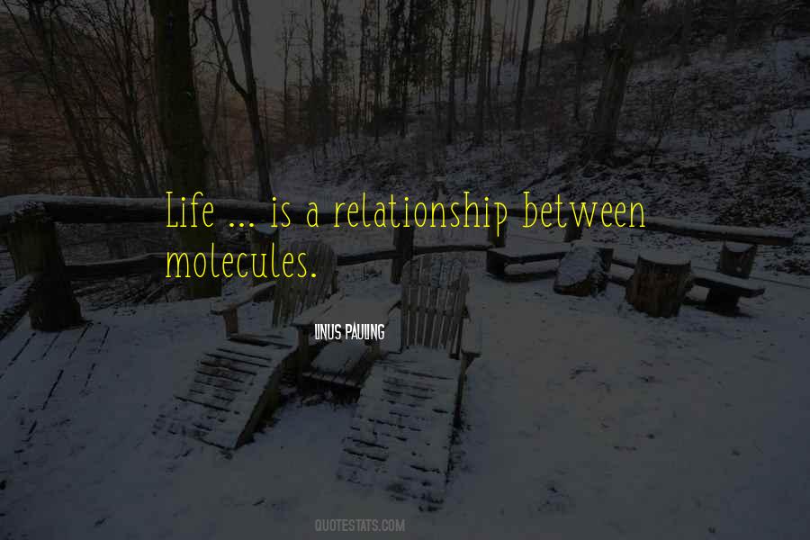 Relationship Between Quotes #1248887