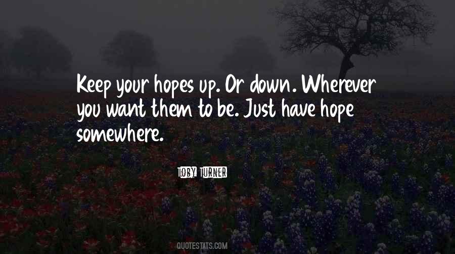 Quotes About Hopes Up #698569