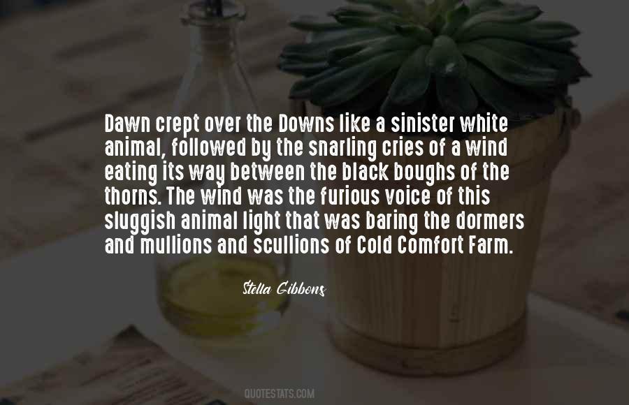 Quotes About Cold And Wind #437721