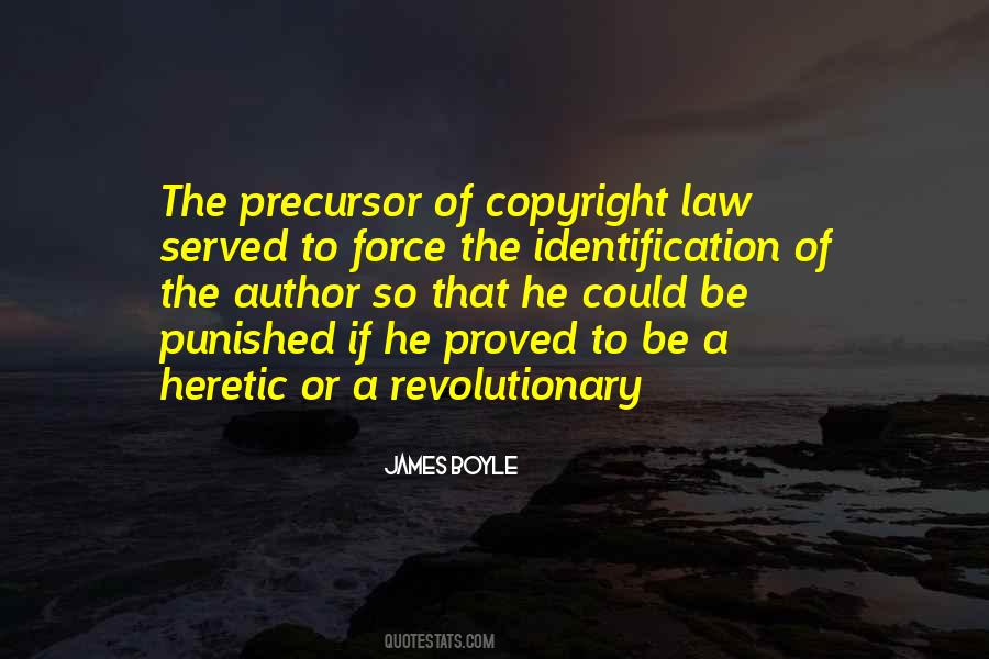 Quotes About Copyright Law #699923