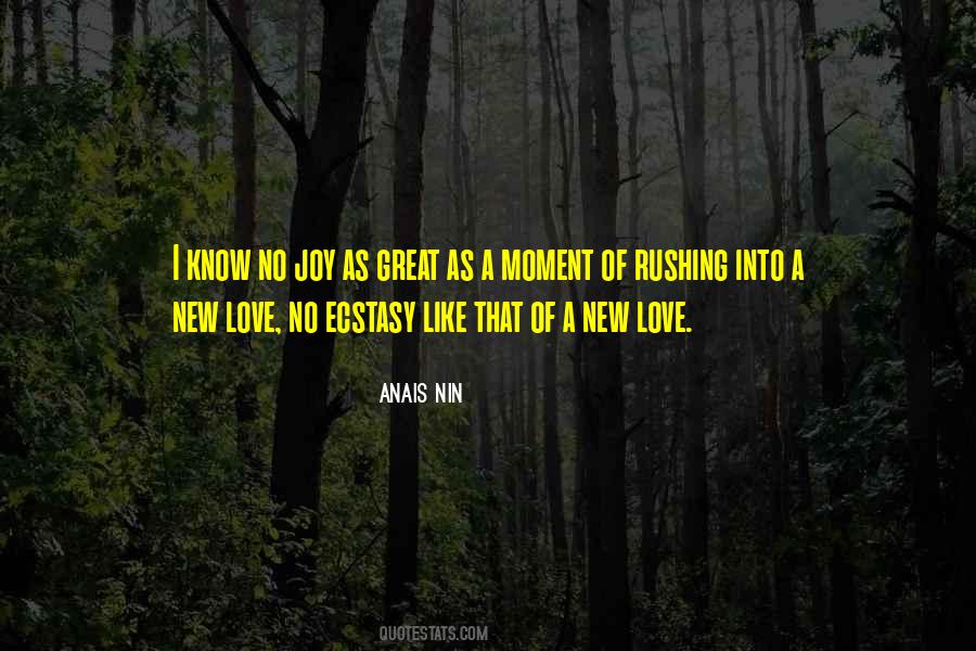 Quotes About Rushing Into Love #348978