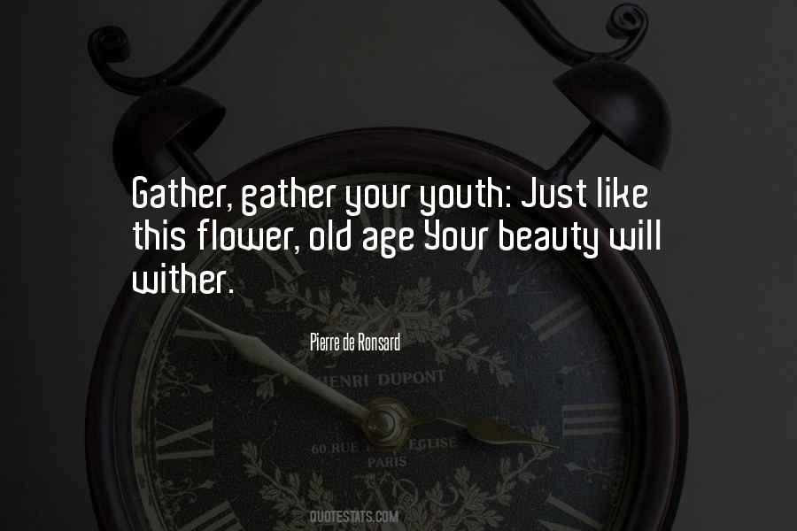 Quotes About Beauty And Old Age #434998
