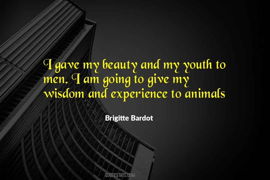 Quotes About Youth And Experience #888716