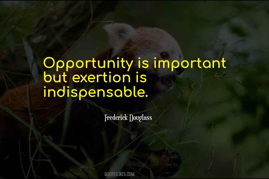 Quotes About Exertion #873773