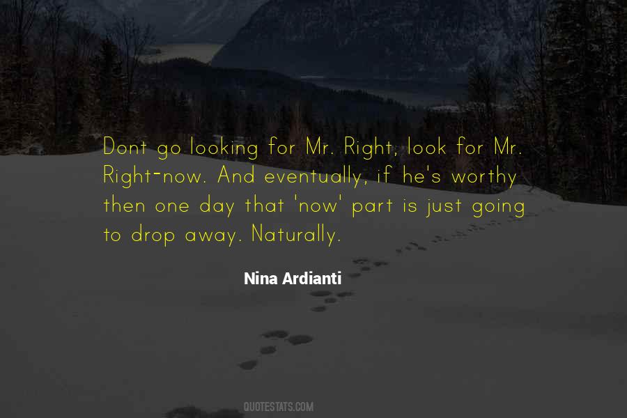 Looking For Mr Right Quotes #220450