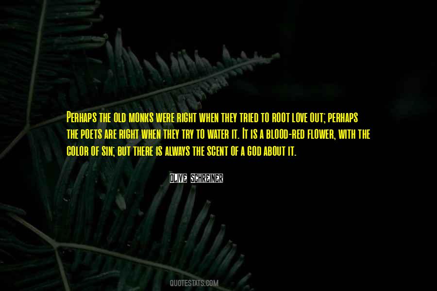 Synchronistic Events Quotes #773619
