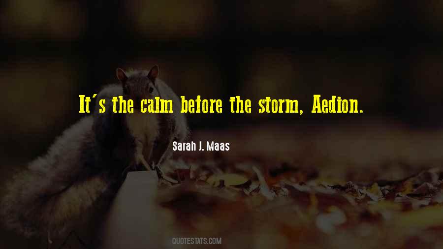 Quotes About Calm Before The Storm #266967