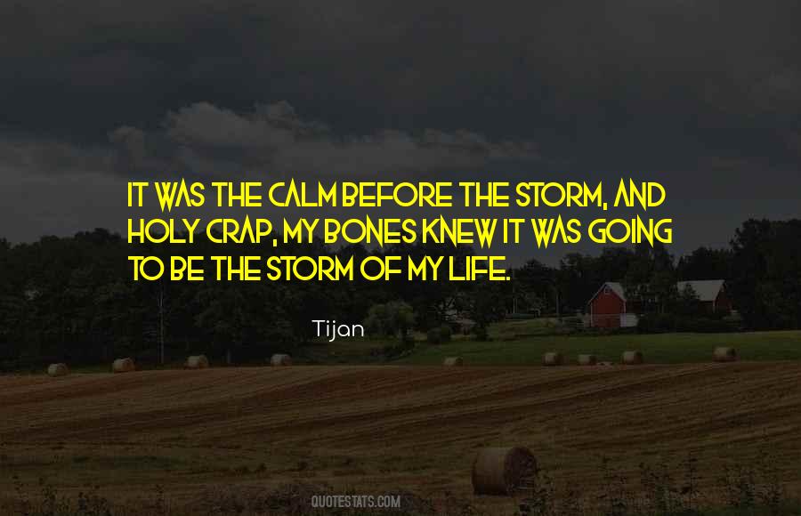 Quotes About Calm Before The Storm #79237