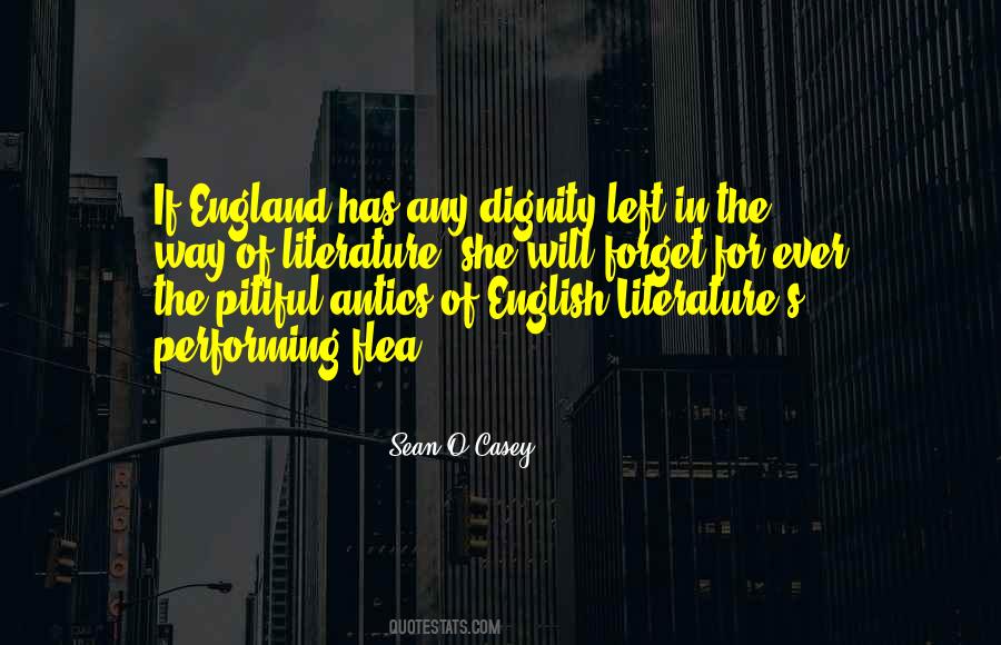 Quotes About English Literature #631127