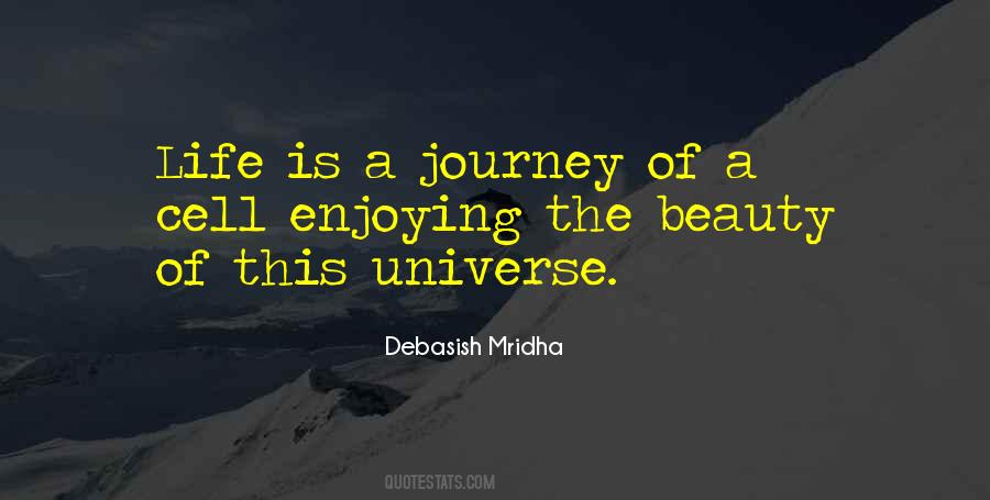 Quotes About Enjoying The Journey #1436414