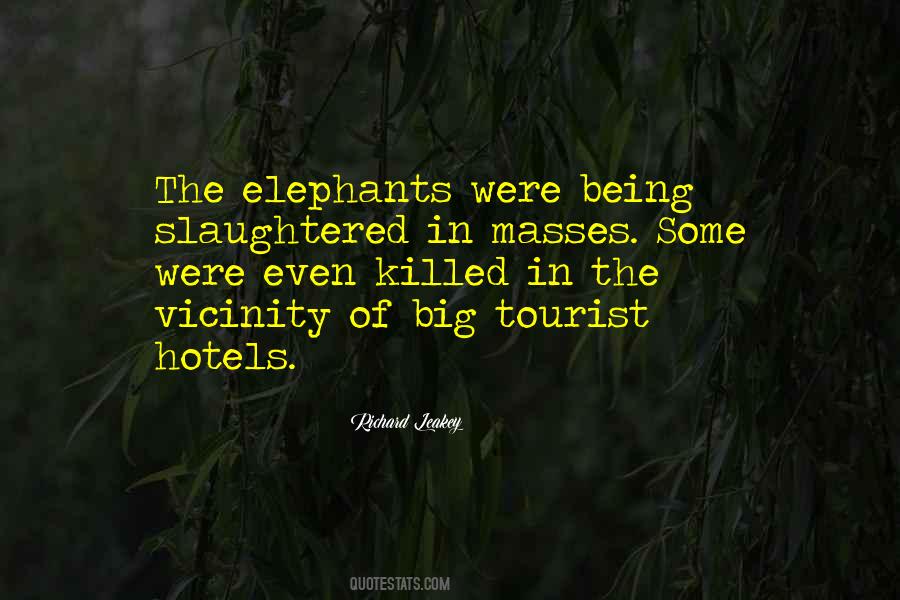 Quotes About Being A Tourist #1827845