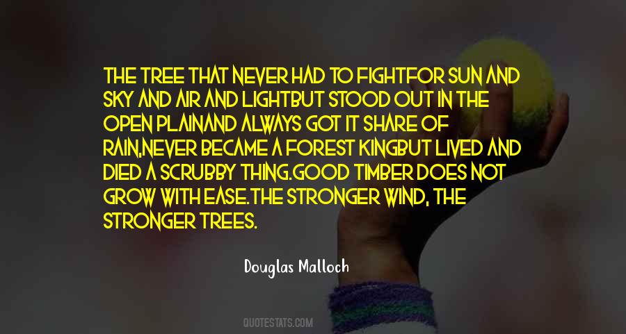 Quotes About Tree And Sky #737404