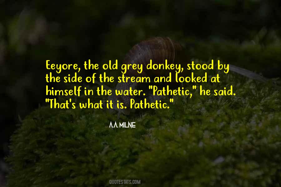 Quotes About Eeyore #1396977