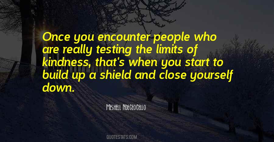 Quotes About Testing Yourself #837736