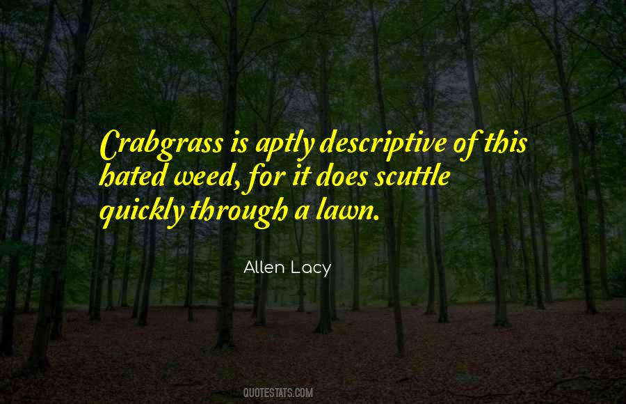 Quotes About Lawns #818057