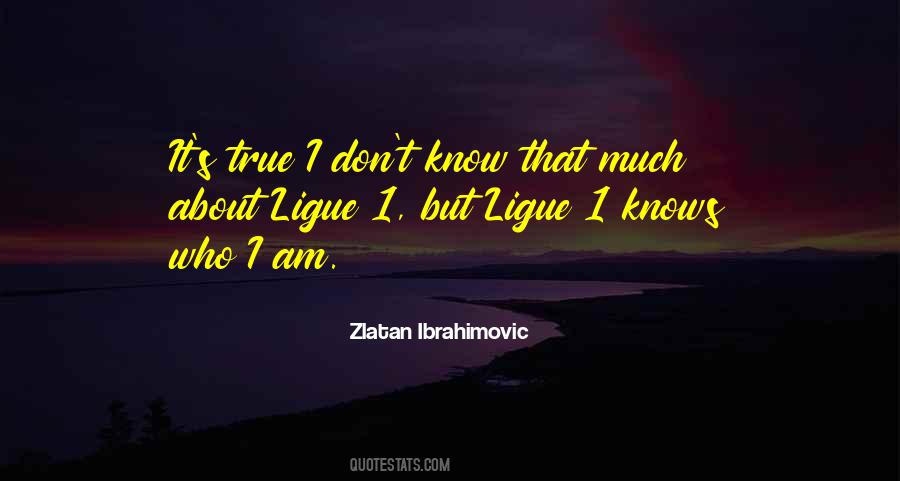 Quotes About Ibrahimovic #1020914