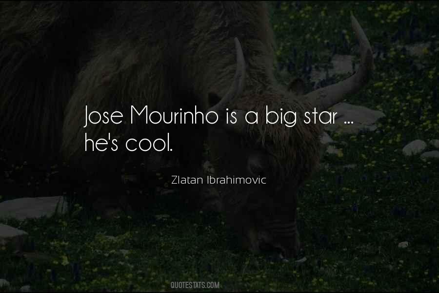 Quotes About Ibrahimovic #1468717