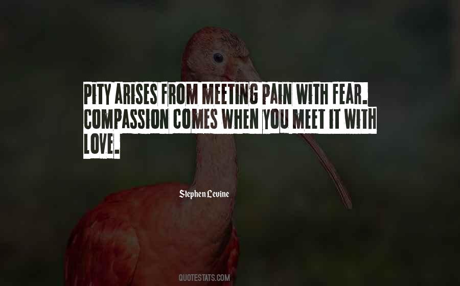 Quotes About Meeting Someone You Love #321610