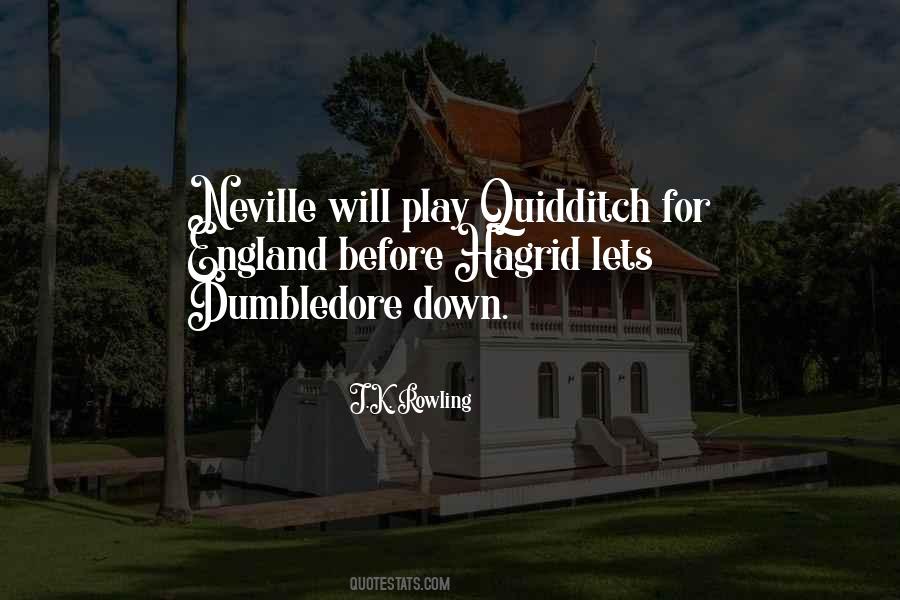 Quotes About Dumbledore #511518