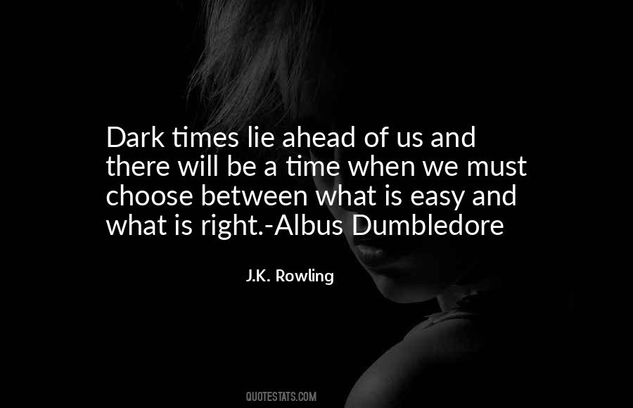 Quotes About Dumbledore #815958