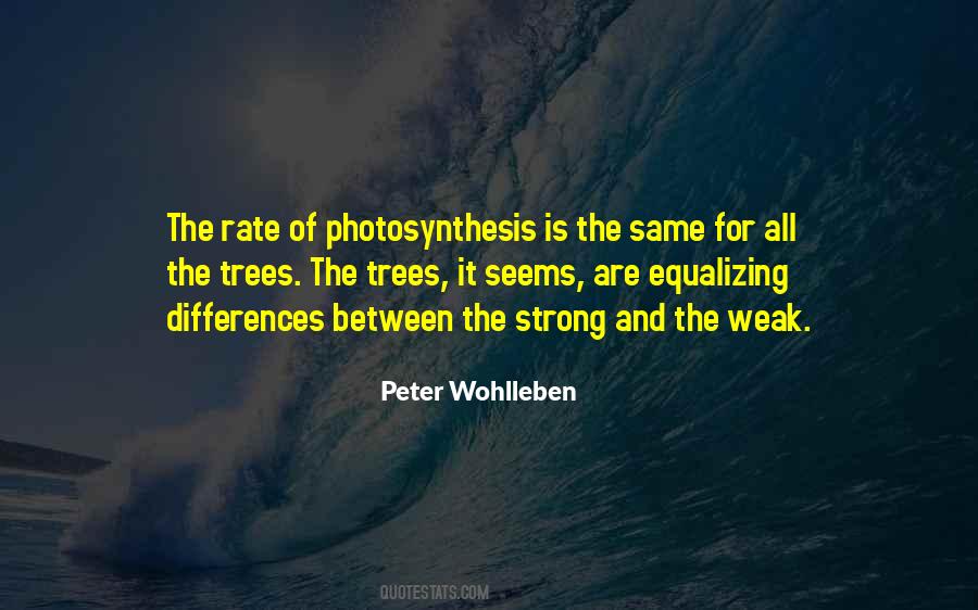 Quotes About Photosynthesis #1313113