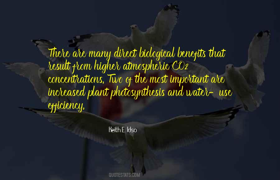 Quotes About Photosynthesis #241201