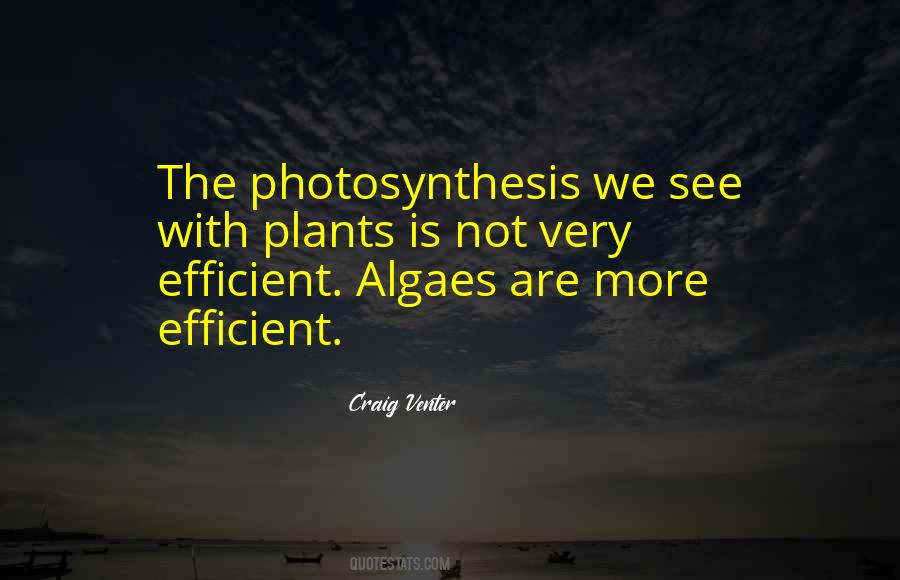 Quotes About Photosynthesis #527731