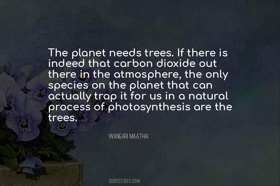 Quotes About Photosynthesis #946296