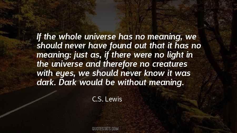 Quotes About Dark And Light #163623