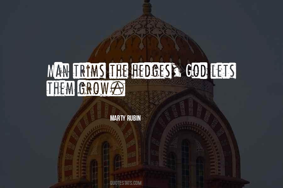 Quotes About Hedges #782514