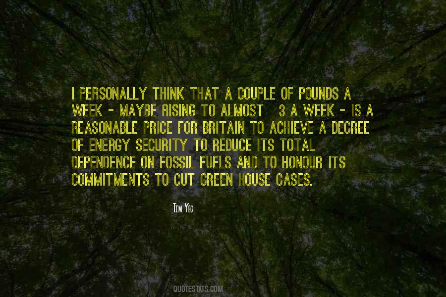 Quotes About Energy Security #111781