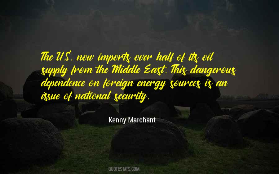 Quotes About Energy Security #626465