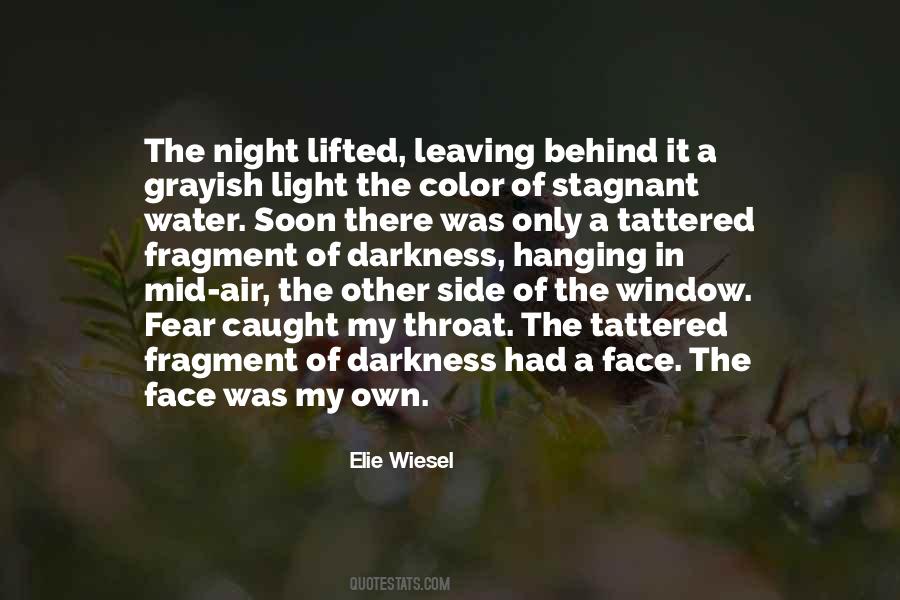 Quotes About Window Light #464403