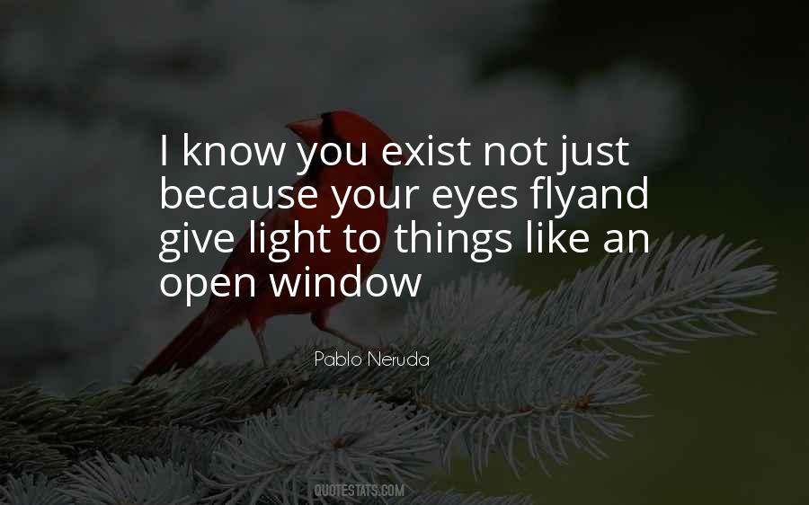 Quotes About Window Light #958709