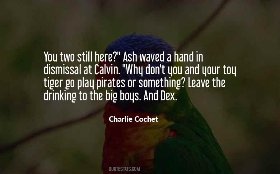 Quotes About Pirates #1221986