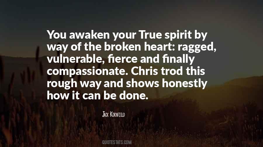 Quotes About Having A Broken Spirit #328041