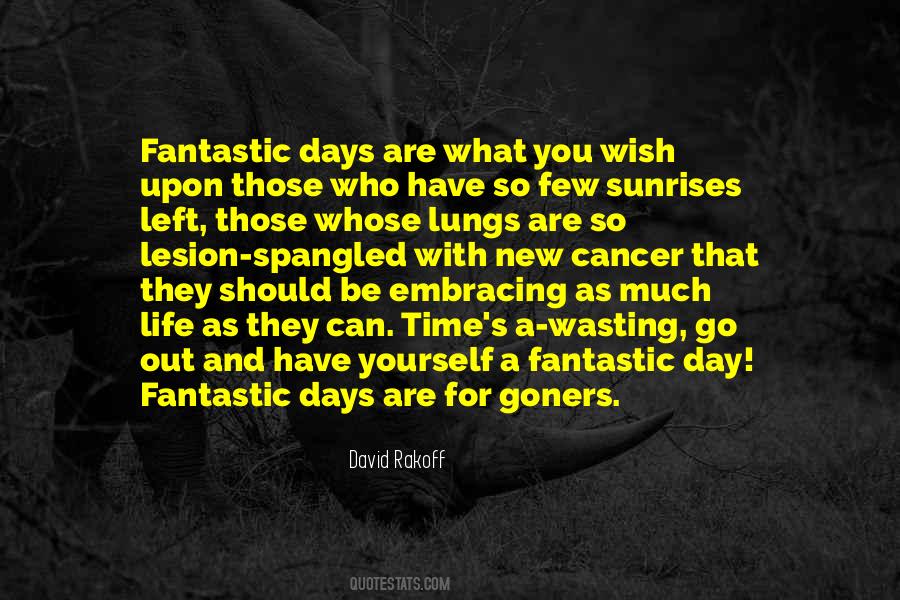 Quotes About A Fantastic Day #44923