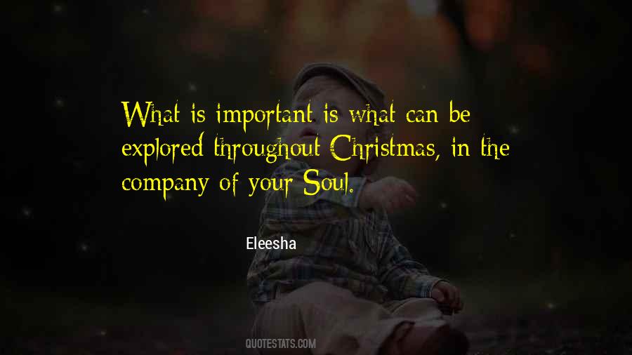 Quotes About The Spirit Of Christmas #54718